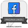 Facebook Pagina Likes Kopen